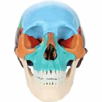 チェリー🍒タケシタ