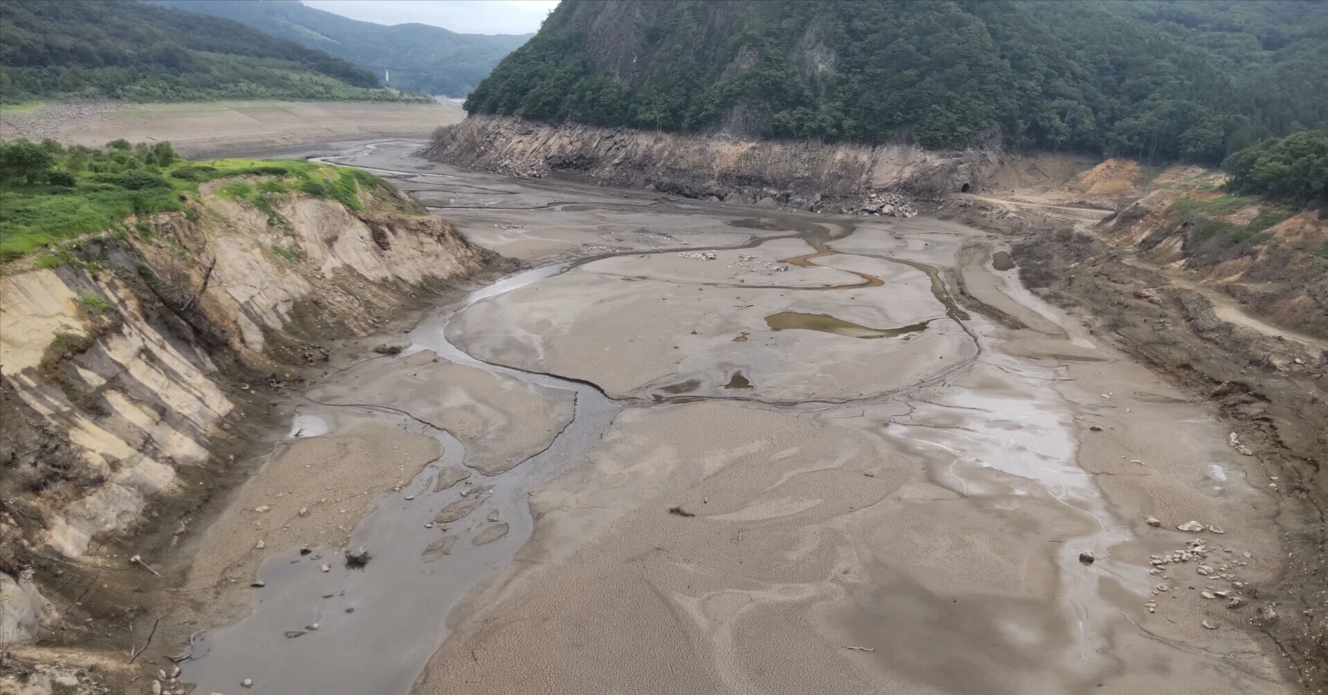 胆沢 ダム 貯水 率