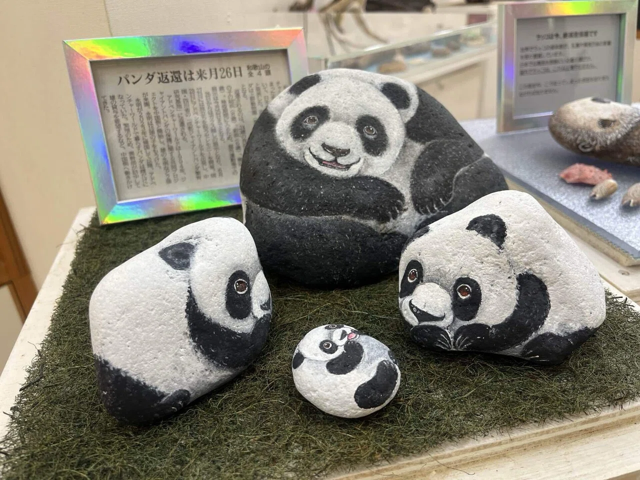 【海からの贈り物】軽石(まだら模様 パンダ石) 動物彫刻付き天然石 パンダ石 【公式通販】