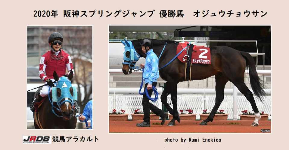 2020年 阪神スプリングジャンプ 優勝馬 オジュウチョウサン Jrdb 競馬アラカルト Note 2020年 阪神スプリングジャンプ 優勝馬 オジュウチョウサン Jrdb 競馬アラカルト Note