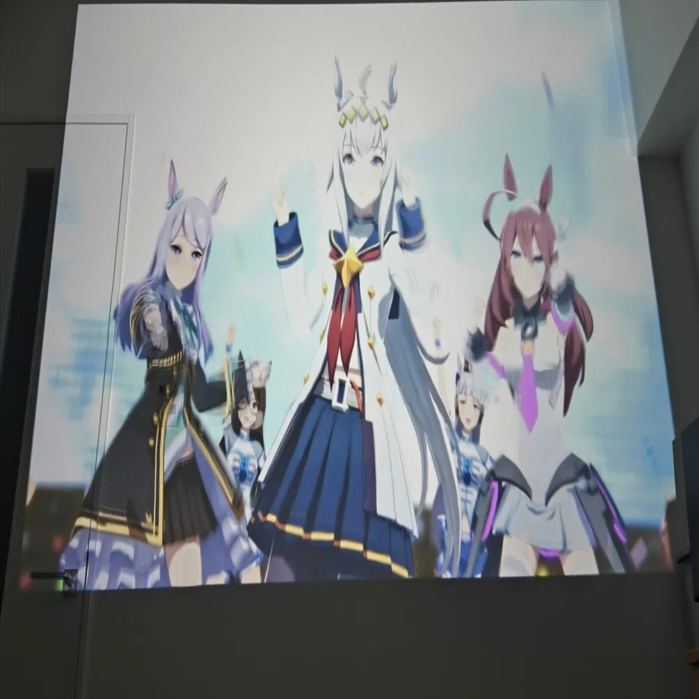 中華プロジェクターを購入2｜にしはる