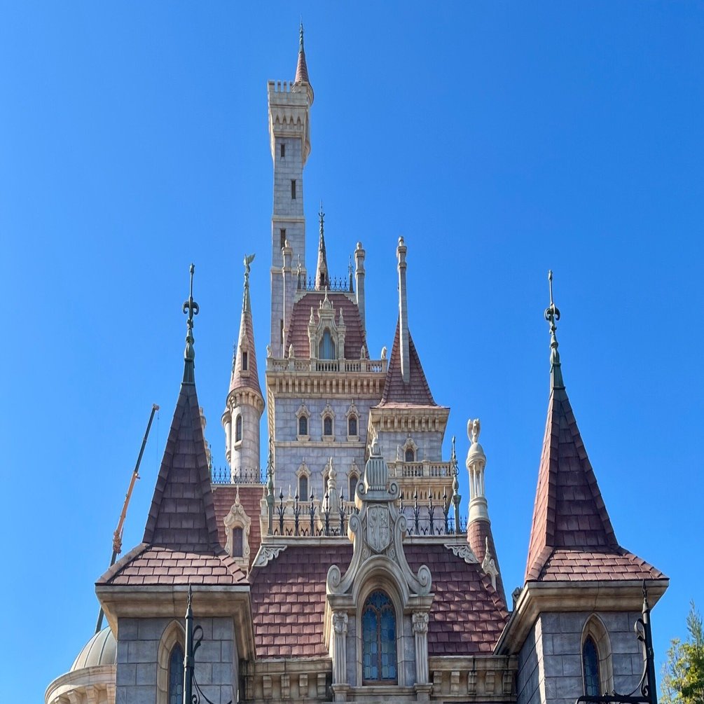 久しぶりのディズニー、この日はやめとけという話｜なあママ