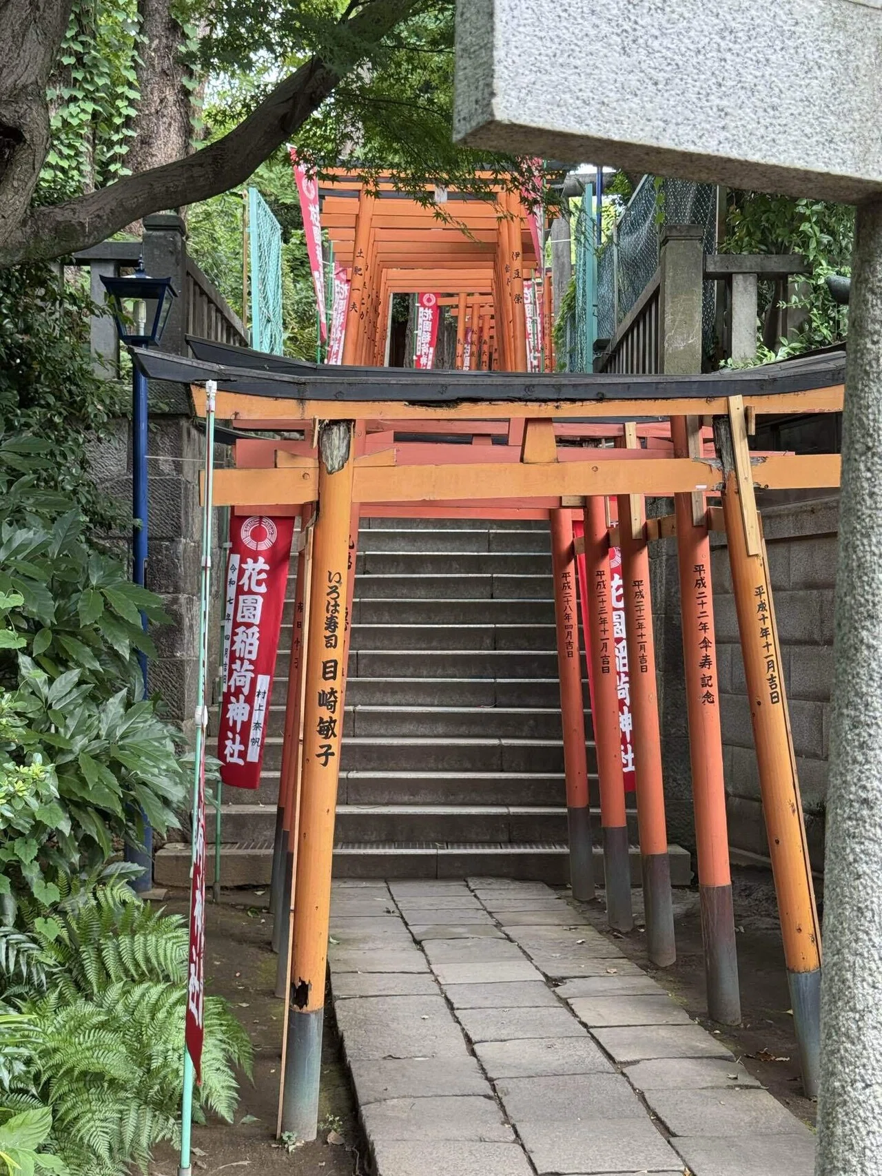 花園稲荷神社裏参道稲荷坂｜福田博之