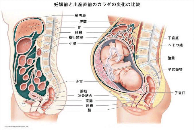 街中で妊婦さんに気づいたことはありますか Kanako 新人助産師 Note