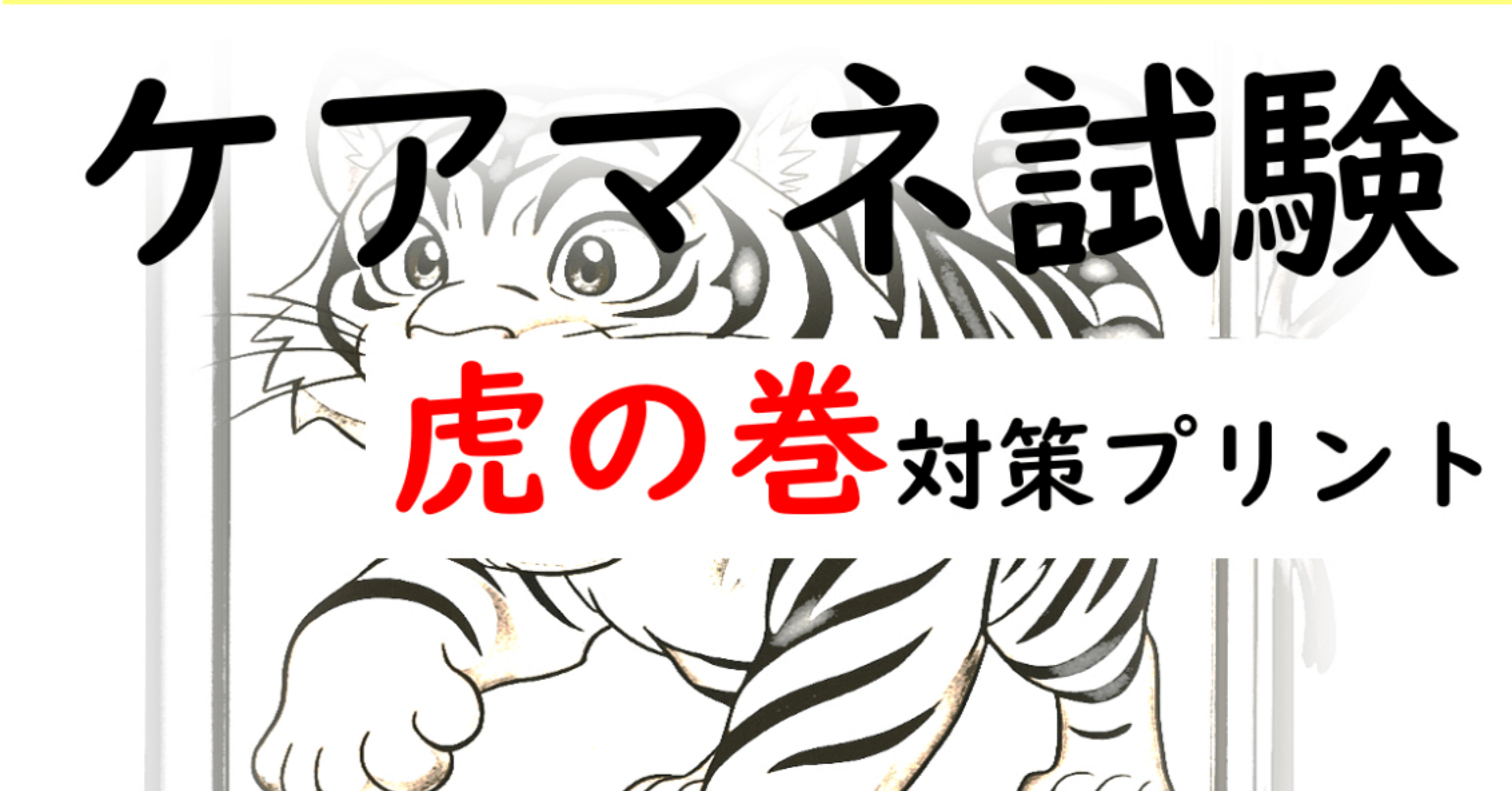 ✨ケアマネ試験対策✨＼新教材『虎の巻シリーズ』リリース！／｜momo