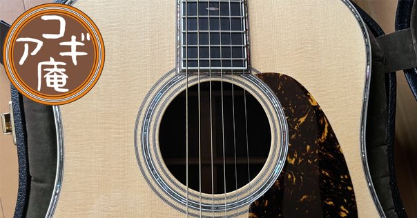 機材紹介：Archtop Tribute AT102｜Hikosans
