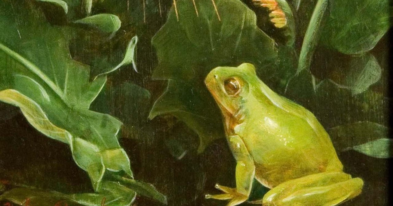 美しきバルール14 金色のカエル 白川 美紀 シラカワ ミキ Note