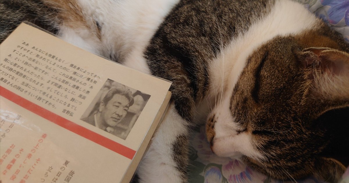 黒田三郎詩集を読みながら 備忘①｜瓜