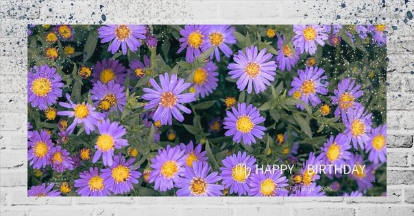 花言葉】ダリア=感謝｜大極貴人（たいきょくきじん）