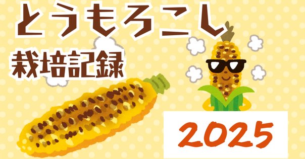 2025年度とうもろこし 2025年度配送分〉とうもろこし「ゴールドラッシュ」 6本（2025年
