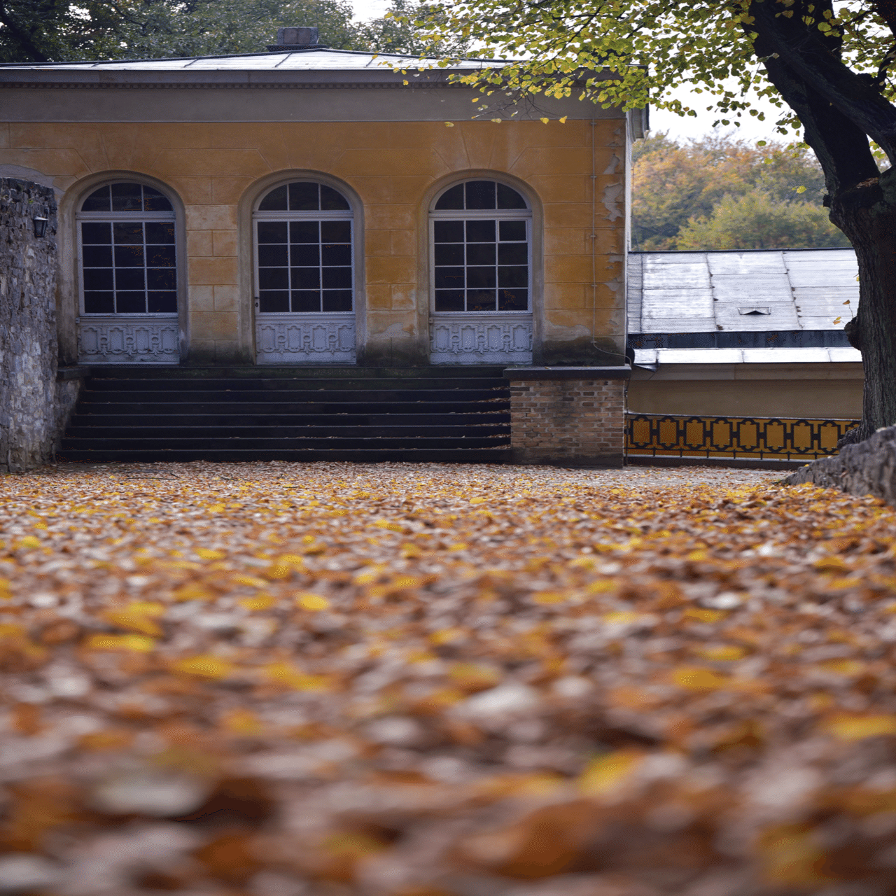 57日間の欧州放浪記」#7 プロイセンの遺産を探して(ポツダム・ベルリン