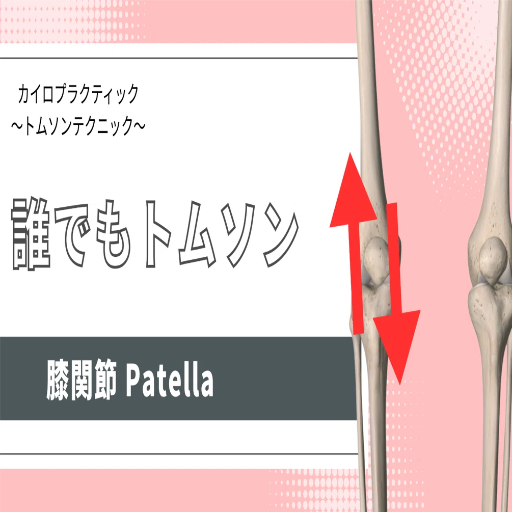 カイロプラクティック/トムソンテクニック「膝関節（Patella
