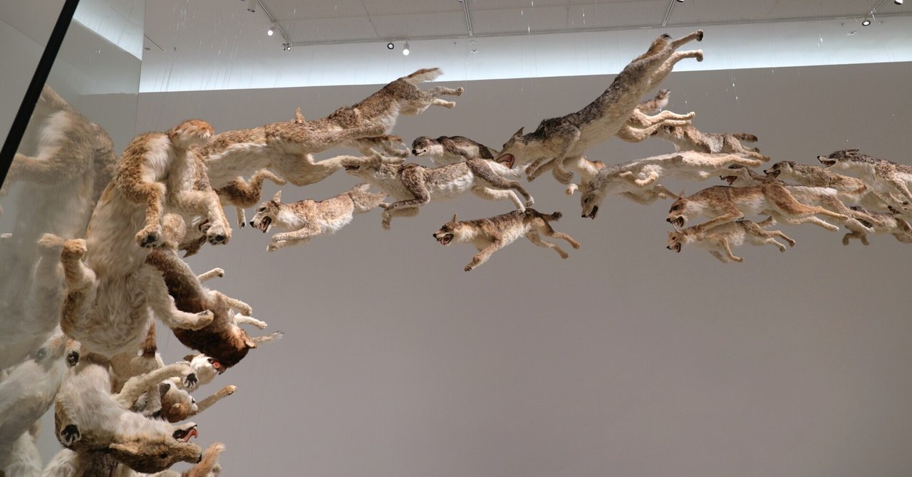 直島,盛夏02 直島新美術館-混雑,光と影と【瀬戸内国際芸術祭2025