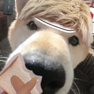 WeFiもち(MOCHI)