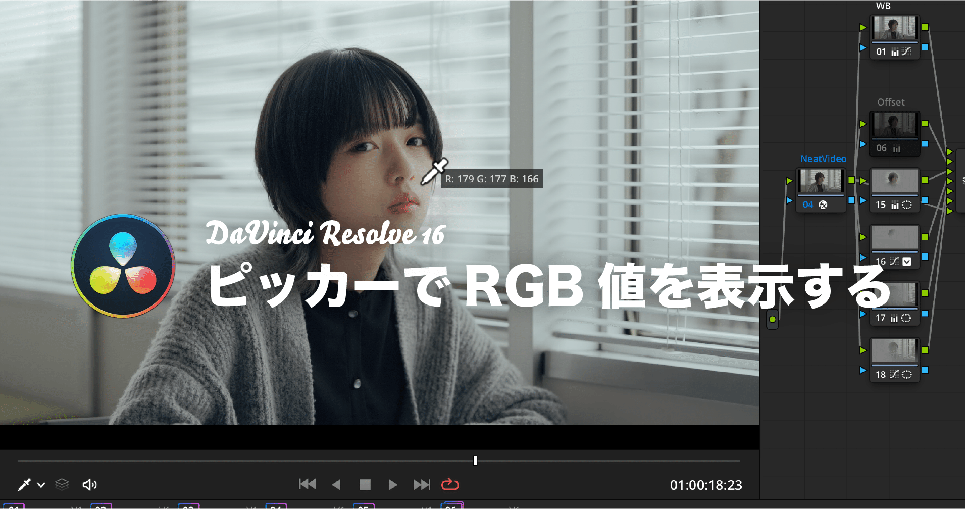 ピッカーでRGB値を表示する方法｜DaVinci Resolve TIPS @ColorPage