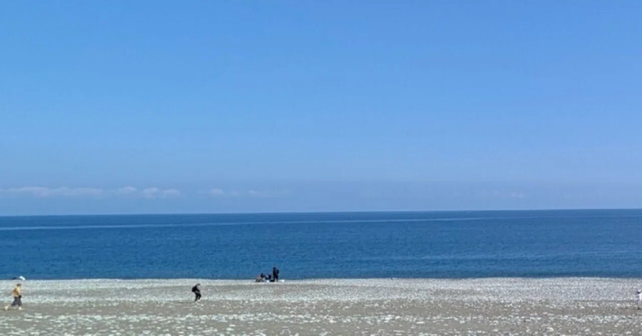 Azure -TOYAMA BLUE-｜境 ナツ