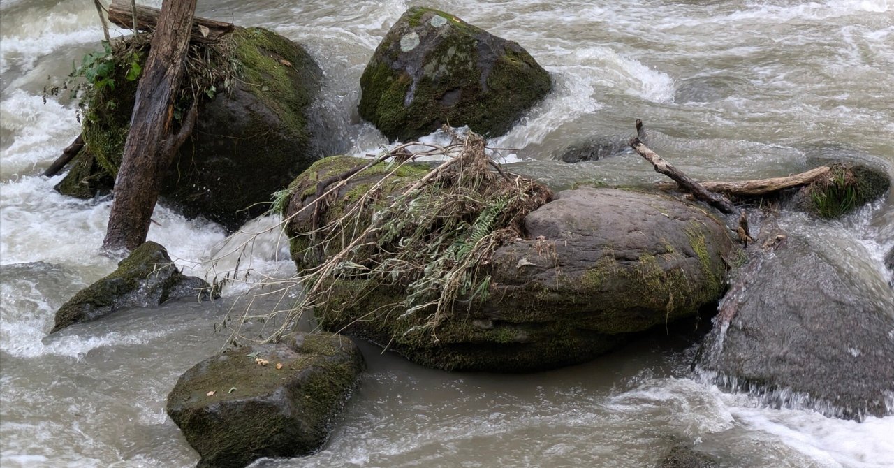 奥入瀬渓流 奥入瀬渓流｜新緑・紅葉・氷瀑を巡る四季の絶景トレイル | 青森