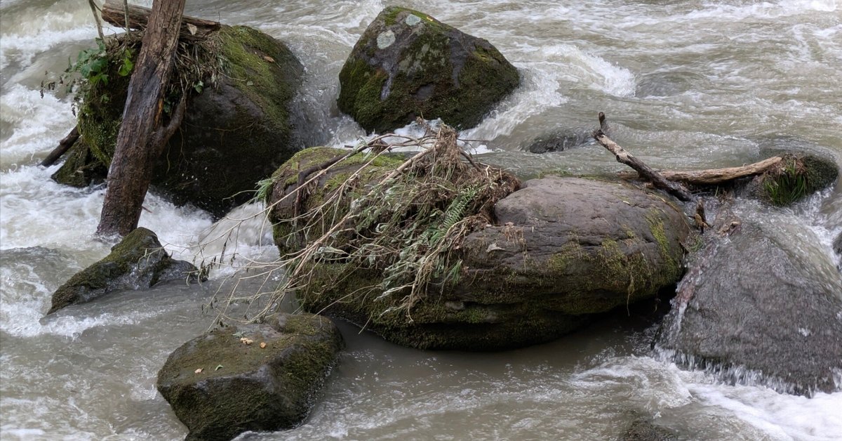 奥入瀬渓流 豪雨後1週間｜Towadakko