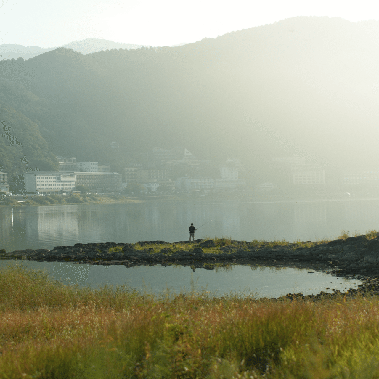 このカメラでいいのかな？と迷ったときの答え｜sho