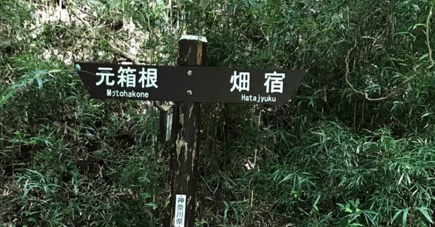 リーマン面の基本的な定義とその上に住む関数たち｜ari1110