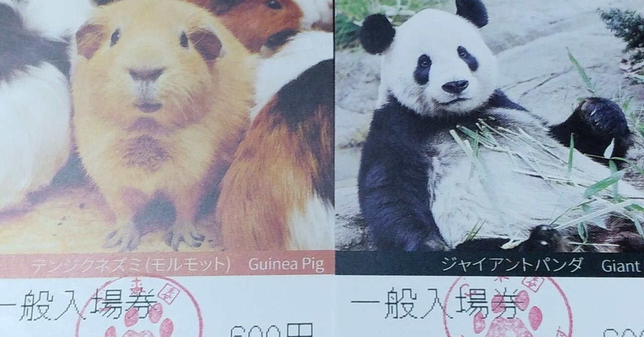 Chito Bear パンダ テディベア 作家 Chito Bear パンダ テディベア 作家 - メルカリ