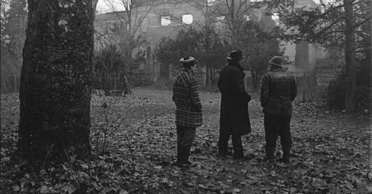 サタンタンゴ（1994🇭🇺）｜麦鷲映画ノート