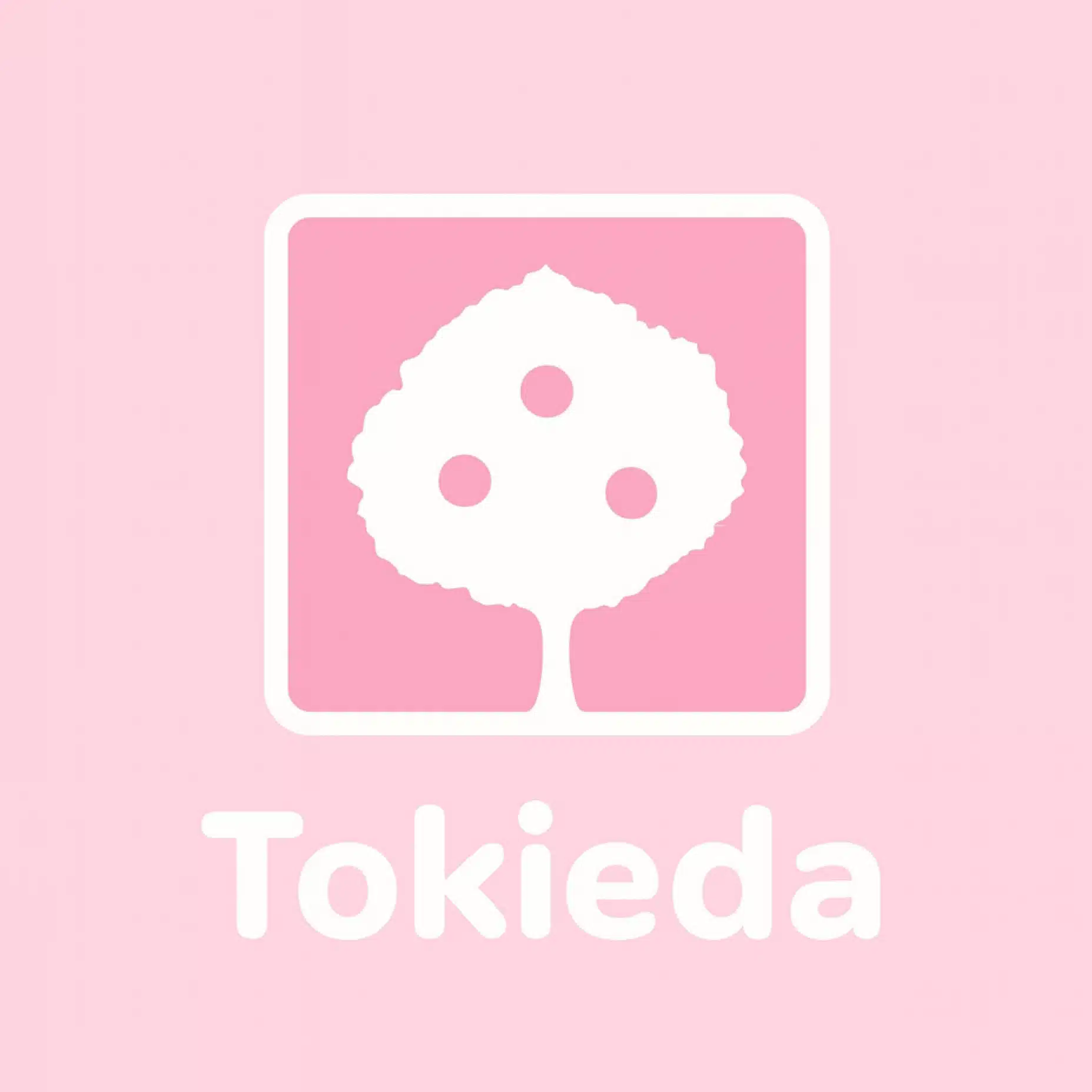 時枝 希成 | Kinari Tokieda