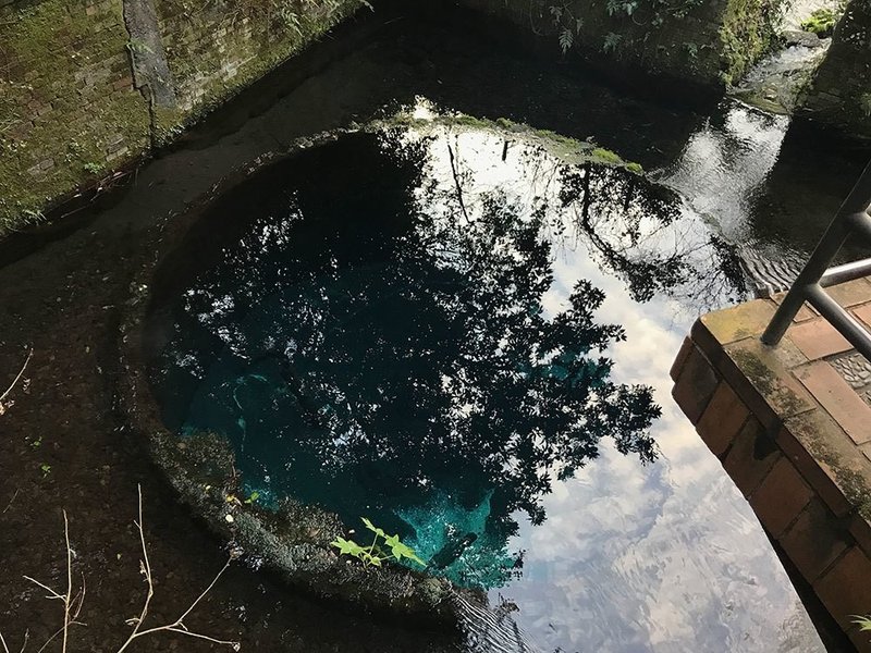 静岡 柿田川湧水群で見た 吸い込まれるような青さの湧水 95 こひまる Kohimaru Note 静岡 柿田川湧水群で見た 吸い込まれるような青さの湧水 95 こひまる Kohimaru Note
