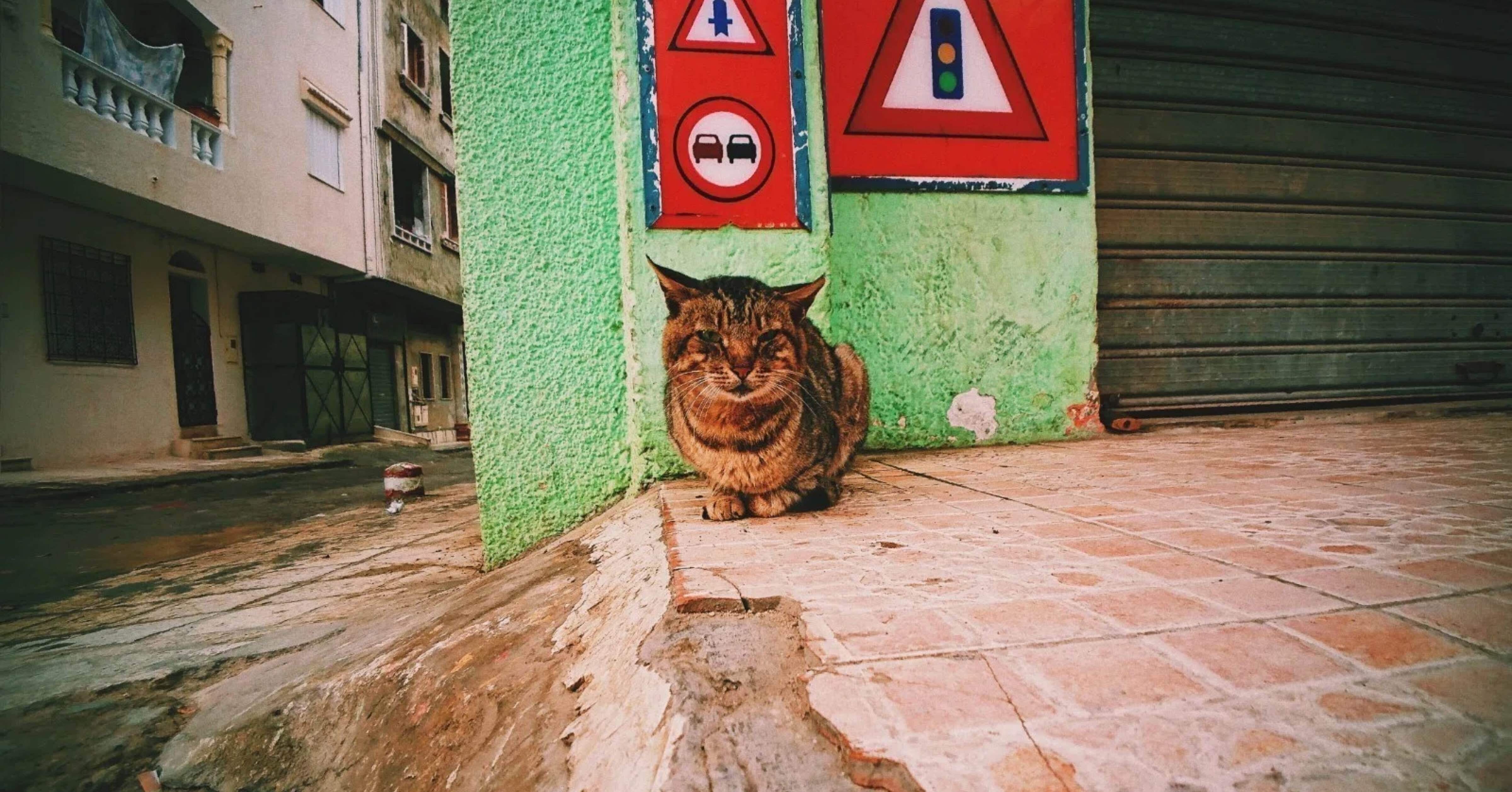 江戸川乱歩の「探偵小説愛」がここまで深い！『続・幻影城』が教えて
