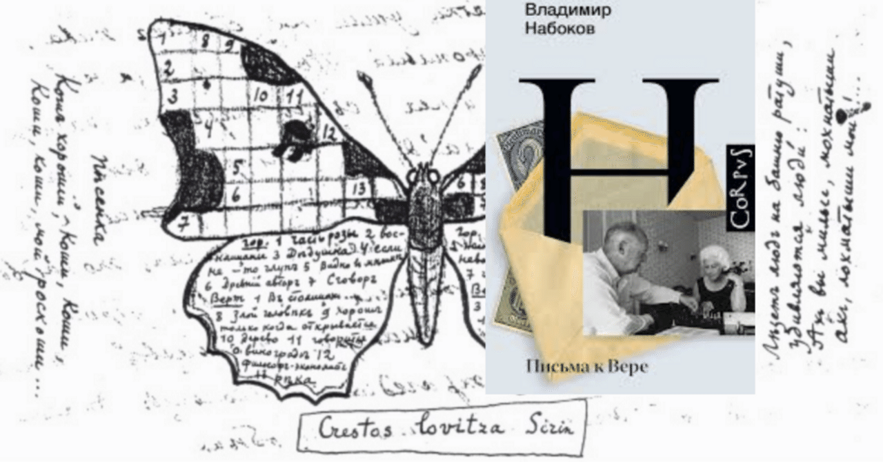 🦋『道化師の蝶』参考資料、ナボコフの『ヴェラへの手紙』一部翻訳