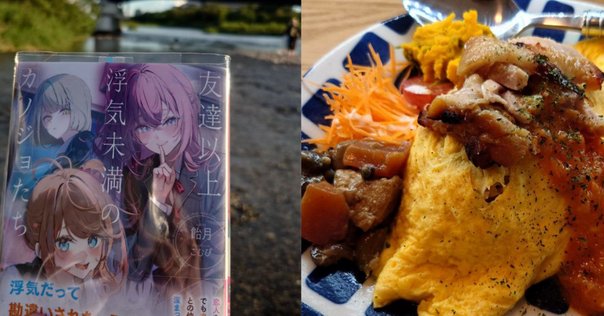 きのう何食べた？14巻 【ネタバレあり読書感想文】 ドラマと比べ