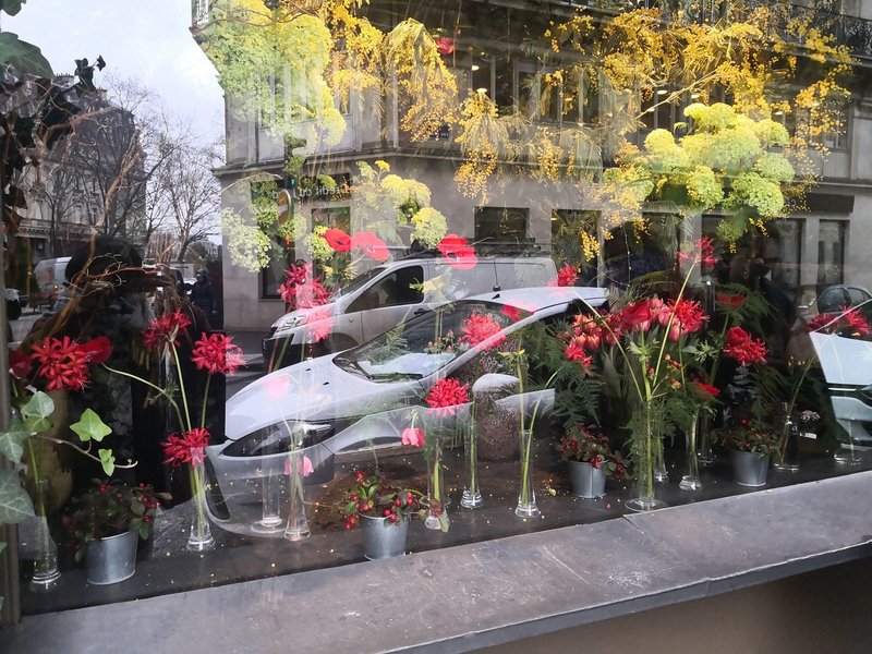 パリの素敵なディスプレイ巡り Aoyama Flower Market Paris Report Note