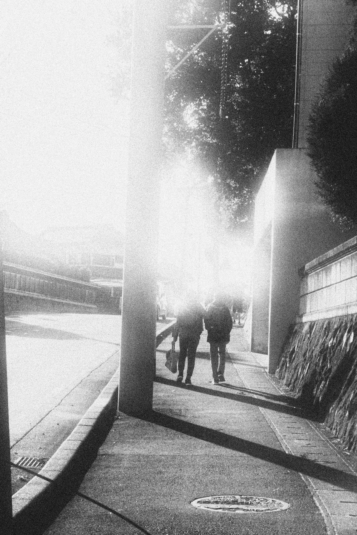 君の知らない君の街｜すず