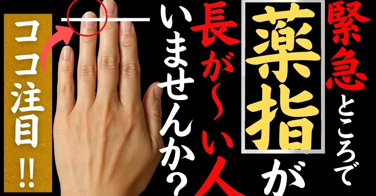 人差し指より薬指が長い人の真実⭕️成功マインド系YouTube25日メモ｜weathernews福山