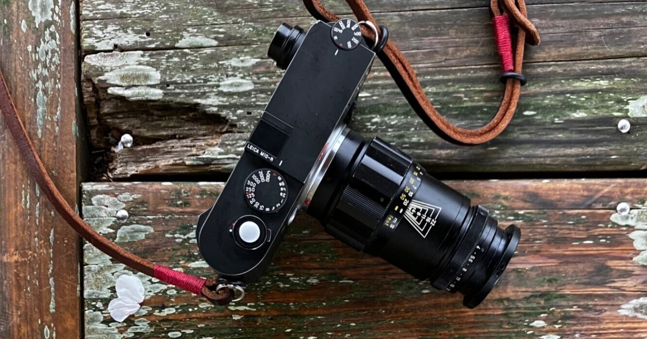 TELE ELMAR 135mm F4を改めて使ってみる。｜nay