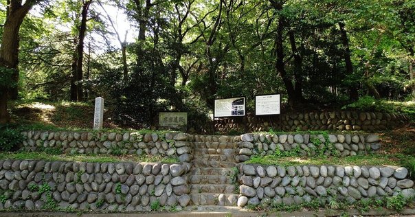 加茂市立図書館と坪谷善四郎｜negadaikon