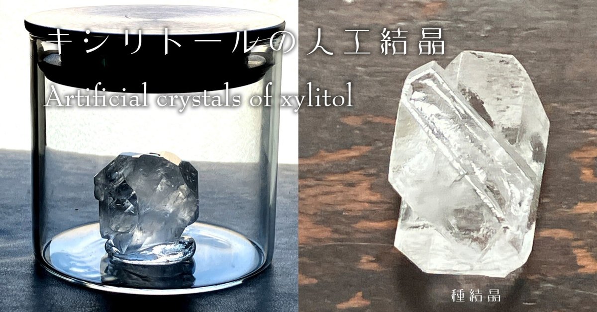 雪の結晶模様 香合 貝殻製 NTC MONO+ 雪の結晶 ボールチェーンマスコット – ネイチャー