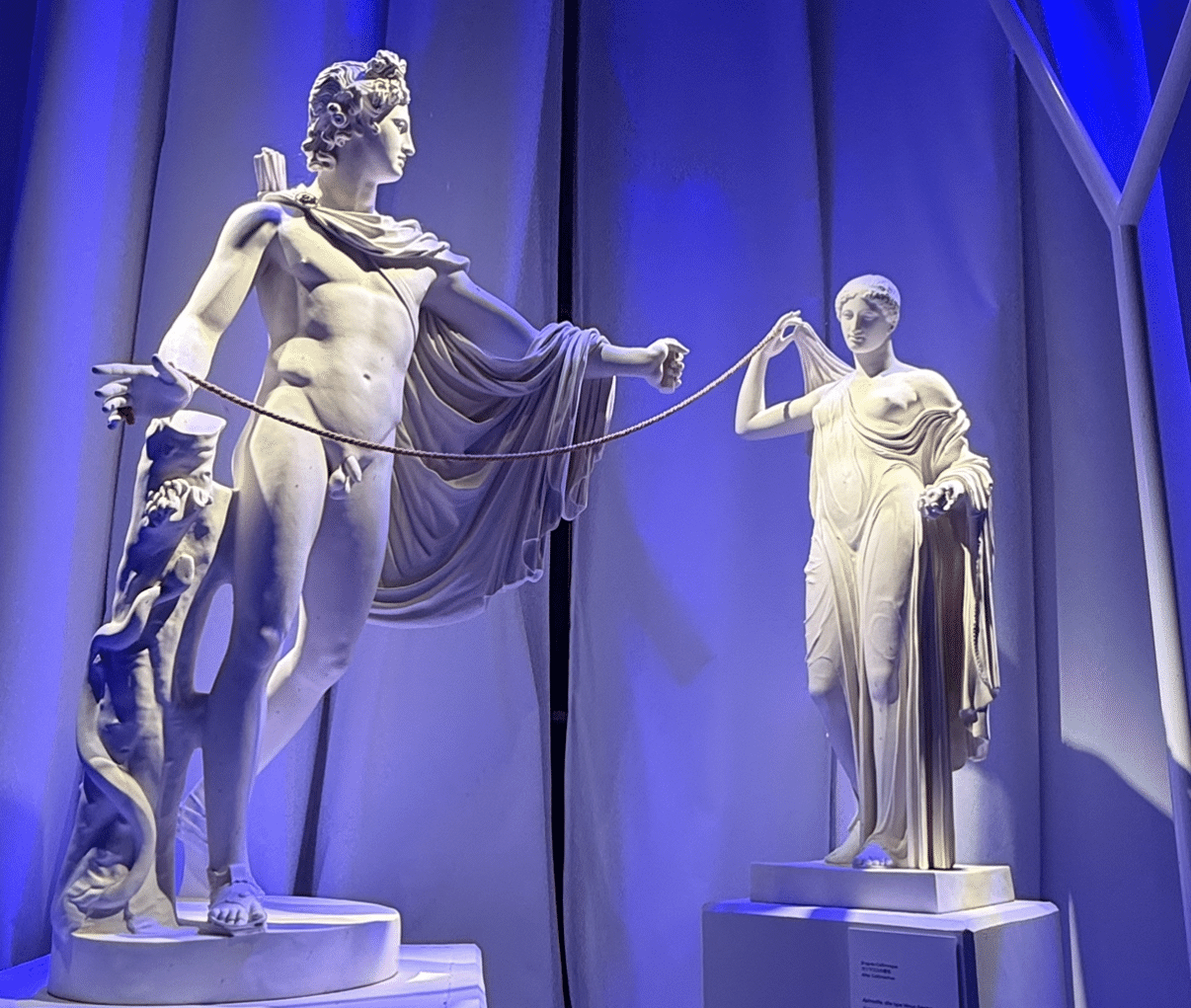 大阪万博④ 「夜に届けたい🩷 フランス館、赤い糸とオリーブの庭