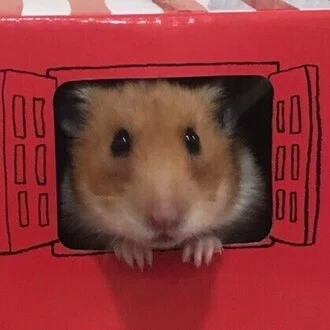 やぶれん