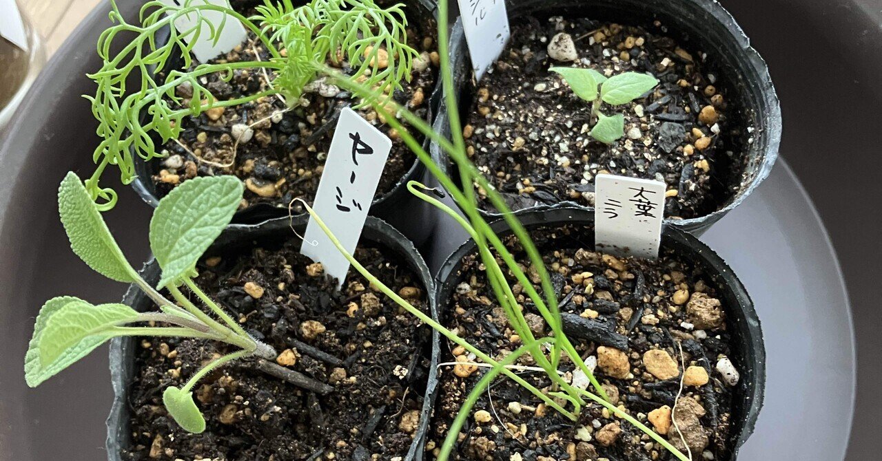 薬草ガーデン講座 薬草コーディネーターの資格が取れる薬草ガーデン講座｜ハッピー