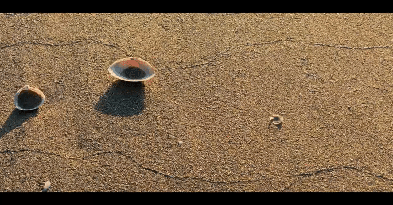 動画編集の基礎 番外編 Fps フレームレートについて Ront Worry ロン Note 動画編集の基礎 番外編 Fps フレームレートについて Ront Worry ロン Note