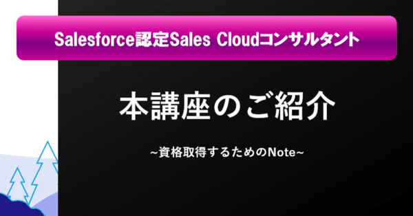 Salesforce 研修テキスト Sales Cloudコンサルタント向け Sales Cloudコンサルタント2024-2022年版｜Salesforce過去問+