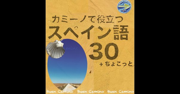 自分に合った1冊はどれ？】西西辞書を比べてみました