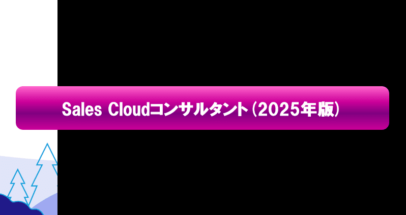 Sales Cloudコンサルタント 2025年版 - 注文｜Salesforce過去問+