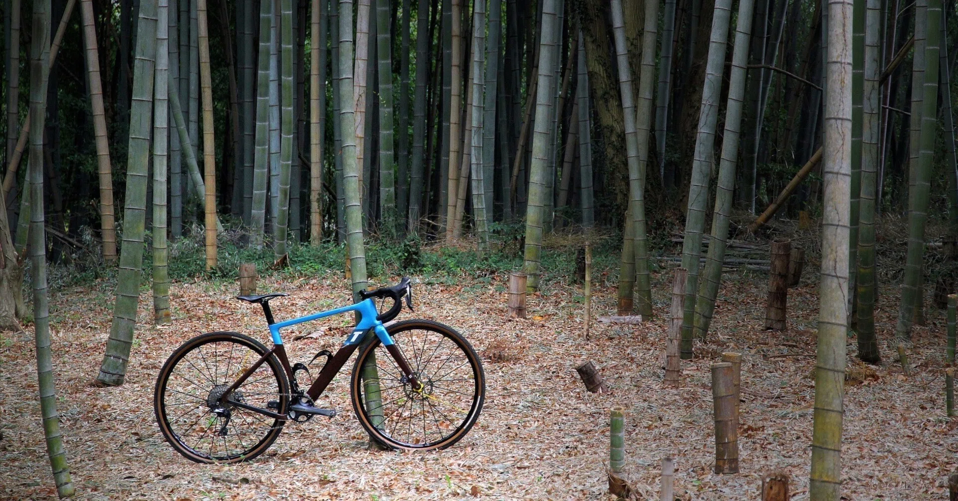 3T EXPLORO RACE MAX購入記／not my typeな自転車選び｜会員制自転車