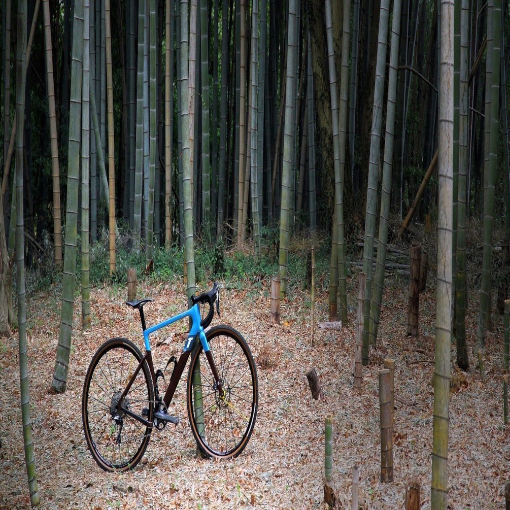 3T EXPLORO RACE MAX購入記／not my typeな自転車選び｜会員制自転車