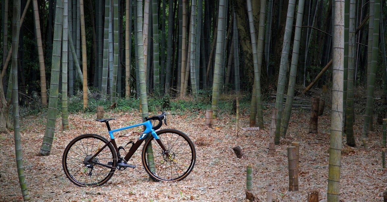 3T EXPLORO RACE MAX購入記／not my typeな自転車選び｜会員制