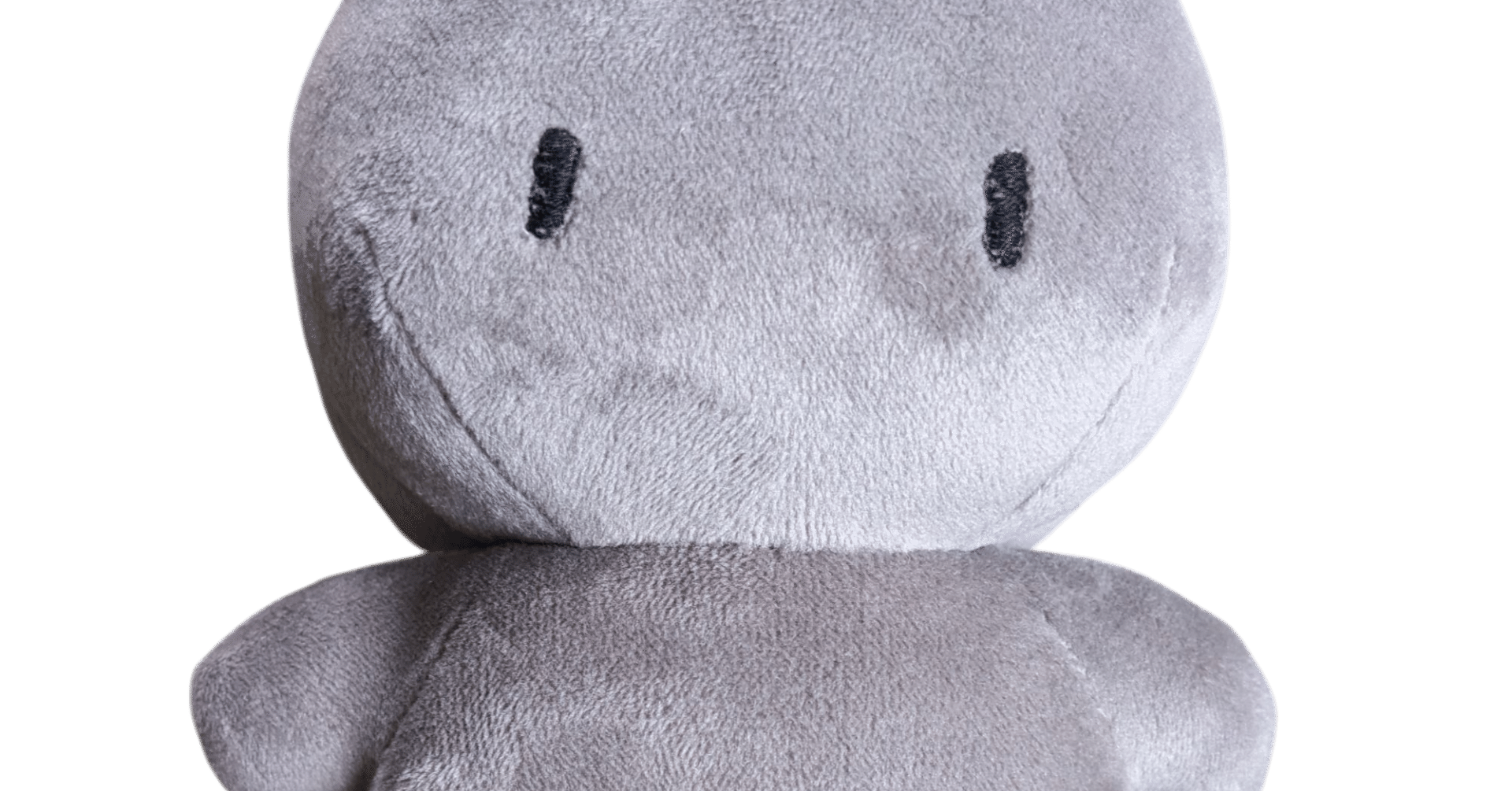 ドロボーちゃんぬい｜いつき