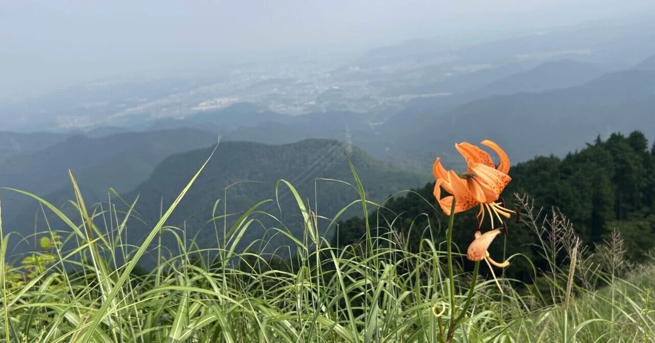 1300年の歴史と共に 岩湧山｜mountain go