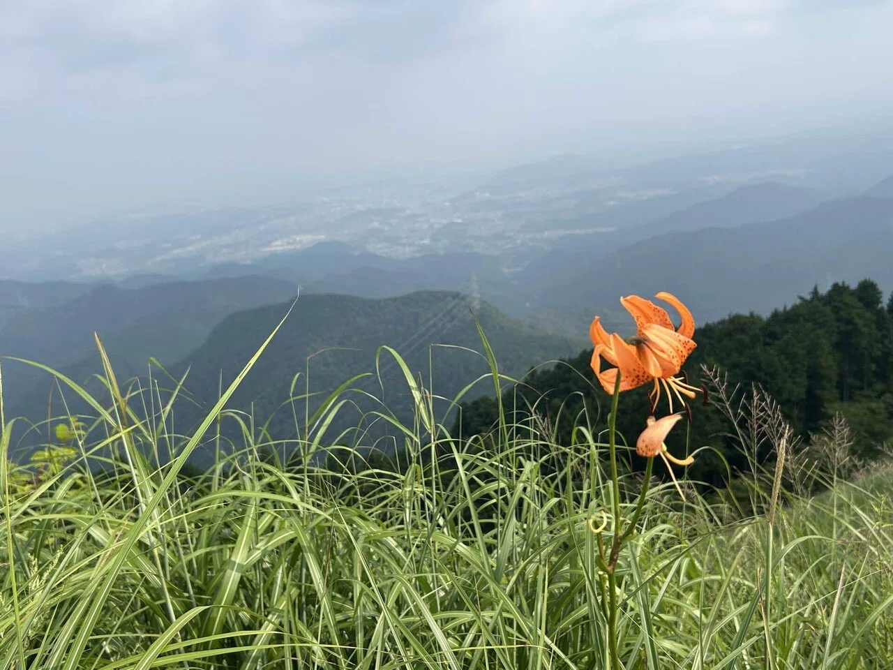 【中古】 岩湧山・紀泉高原 1300年の歴史と共に 岩湧山｜mountain go